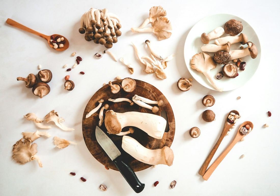 Cuisiner les Champignons Séchés : Un Festin Aromatique