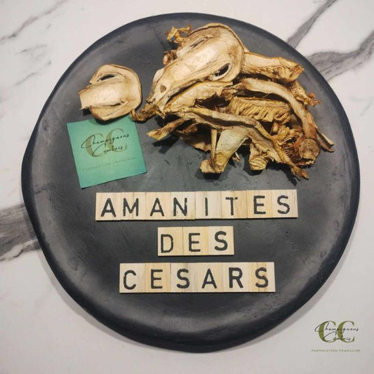 Amanites Des Césars