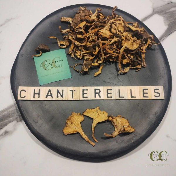 Chanterelles Extra France